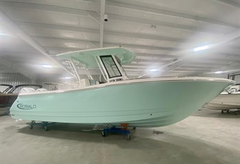2024 Robalo R270 Sea Foam Green Boat